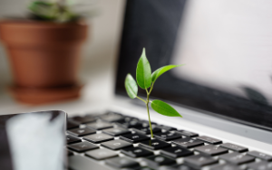 Inventários de GEE e contabilização de carbono